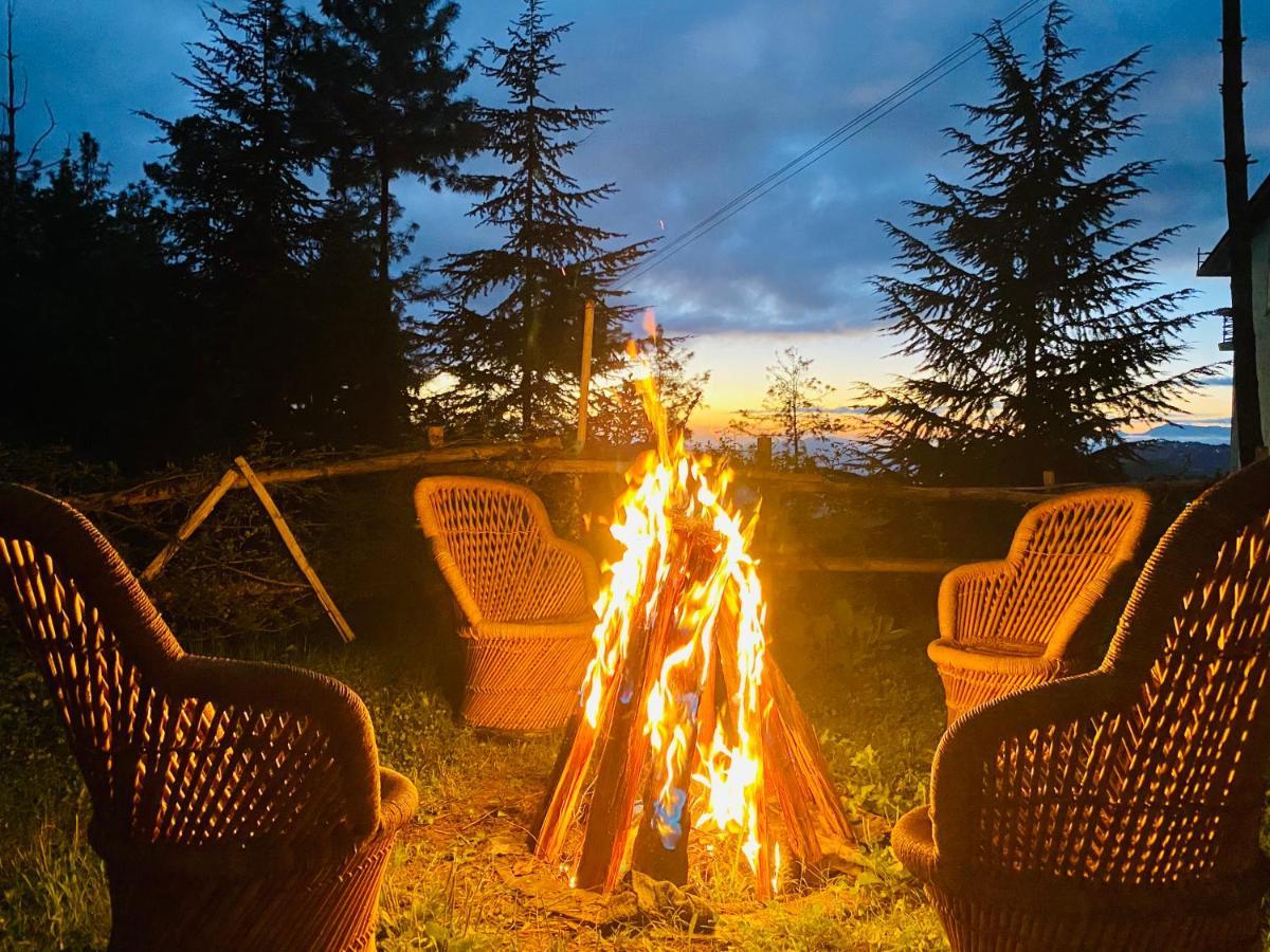 Aachman Nature Valley Resort Shimla Dış mekan fotoğraf